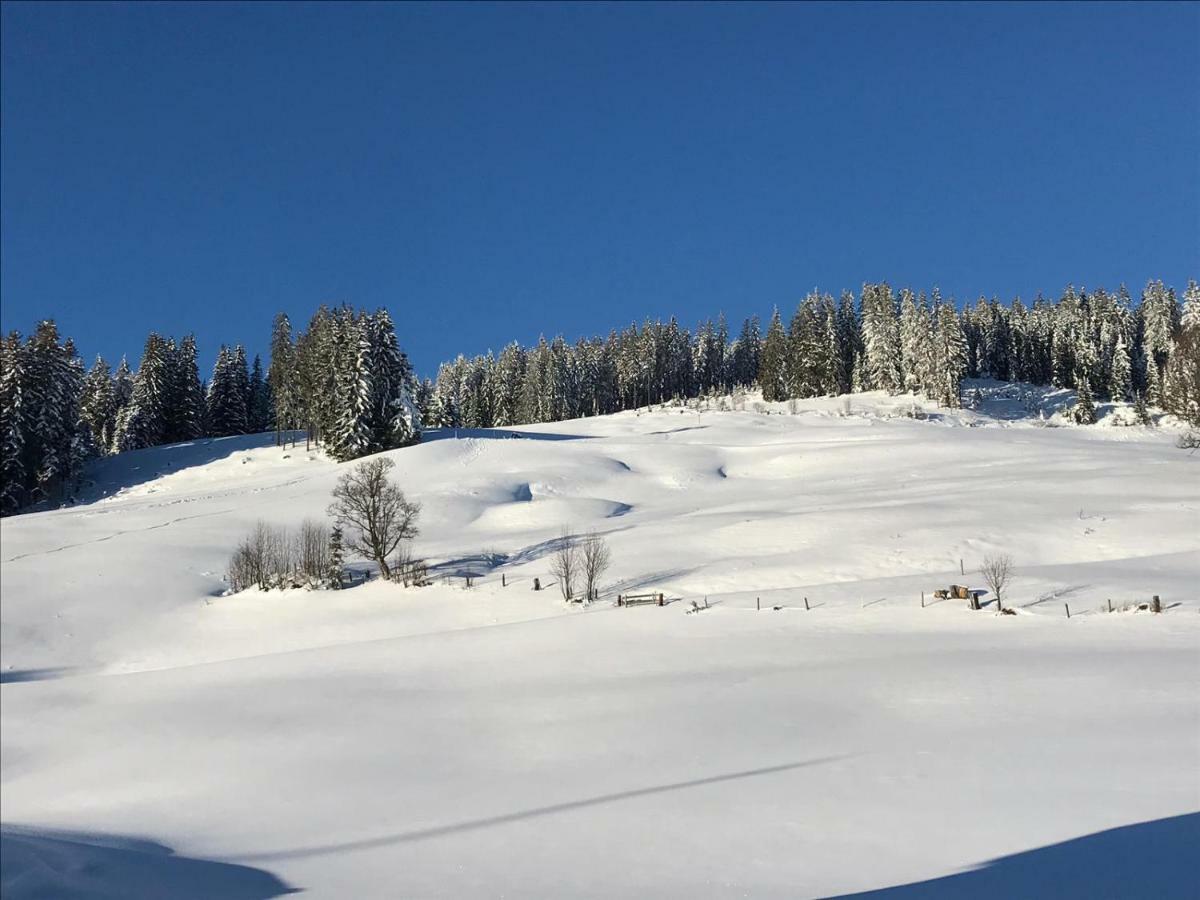 Bergpension Zinting Brixen im Thale Exterior foto